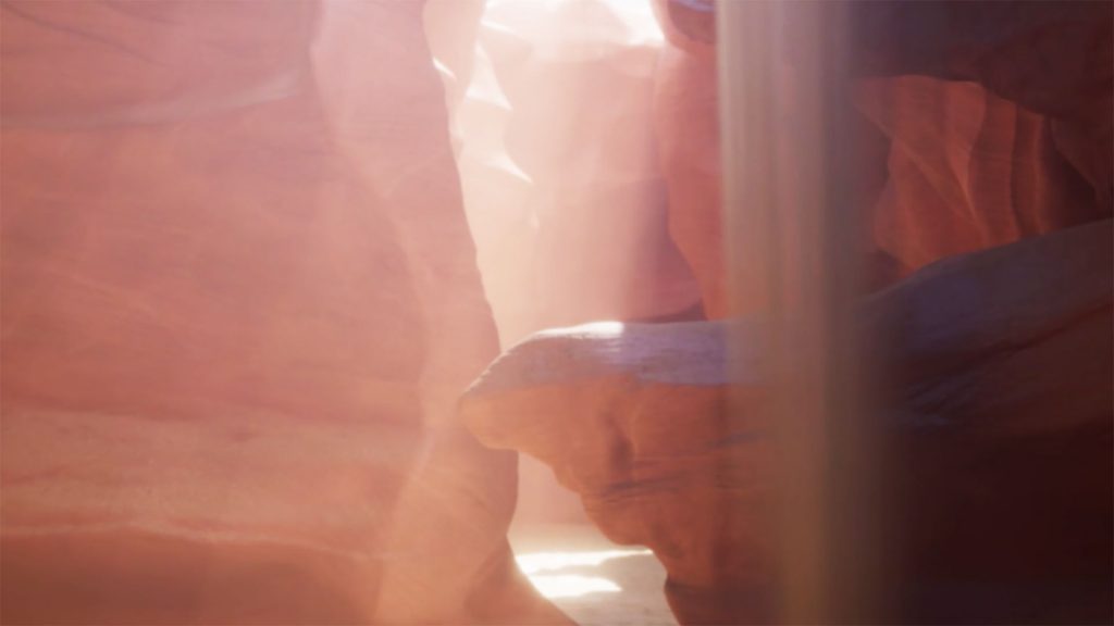 Real-time 3D Antelope Environment